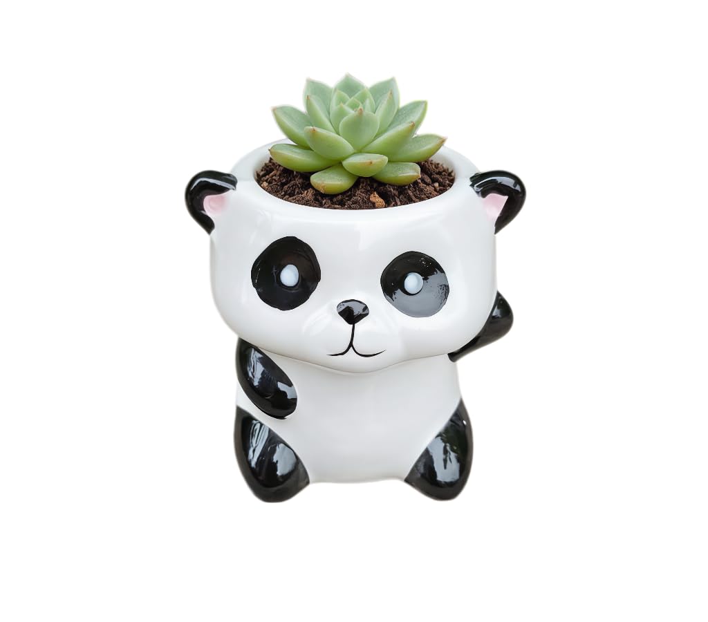 Cute Cartoon Animal Shaped Succulent Cactus Plant Pots-Plants Not Included (About 2.8 Inches) (Randomly 12 PCS)