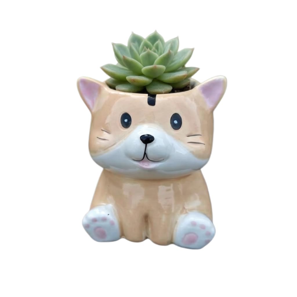 Cute Cartoon Animal Shaped Succulent Cactus Plant Pots-Plants Not Included (About 2.8 Inches) (Randomly 12 PCS)