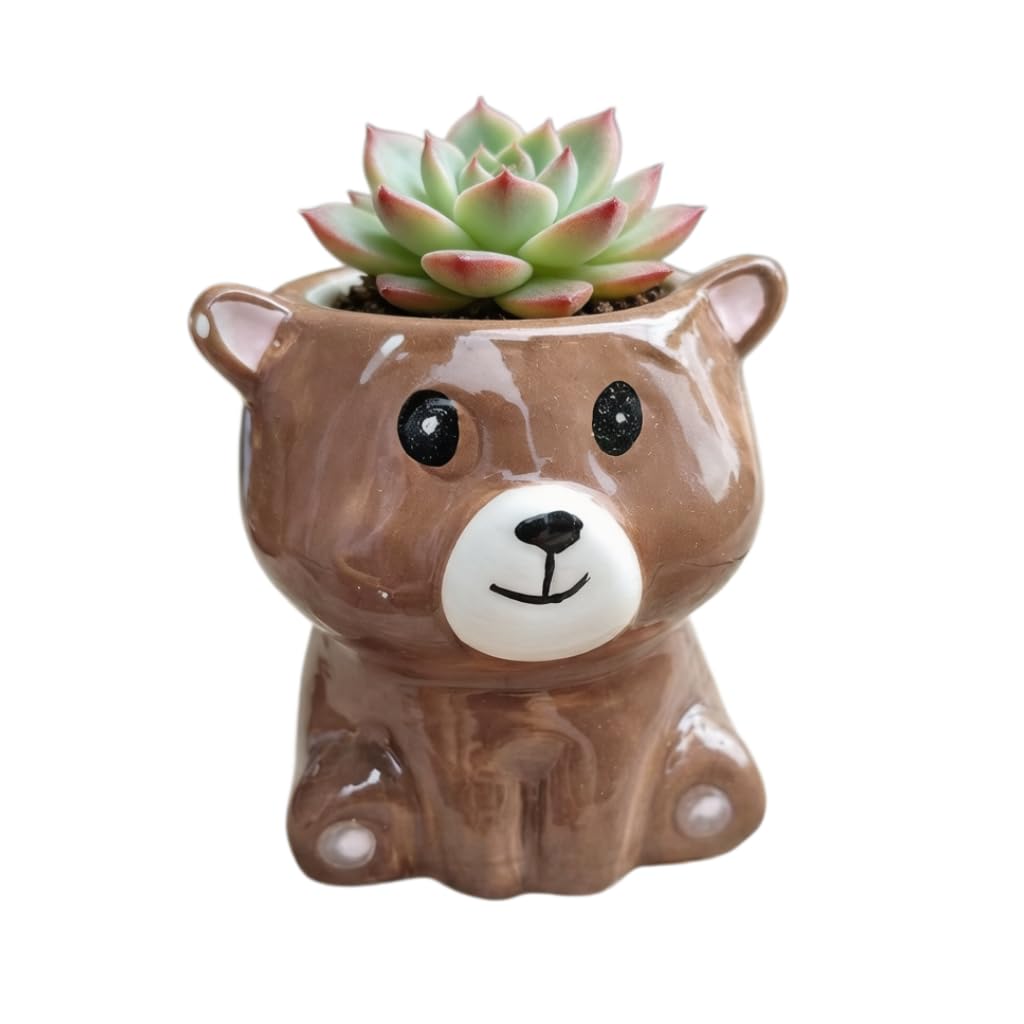 Cute Cartoon Animal Shaped Succulent Cactus Plant Pots-Plants Not Included (About 2.8 Inches) (Randomly 12 PCS)