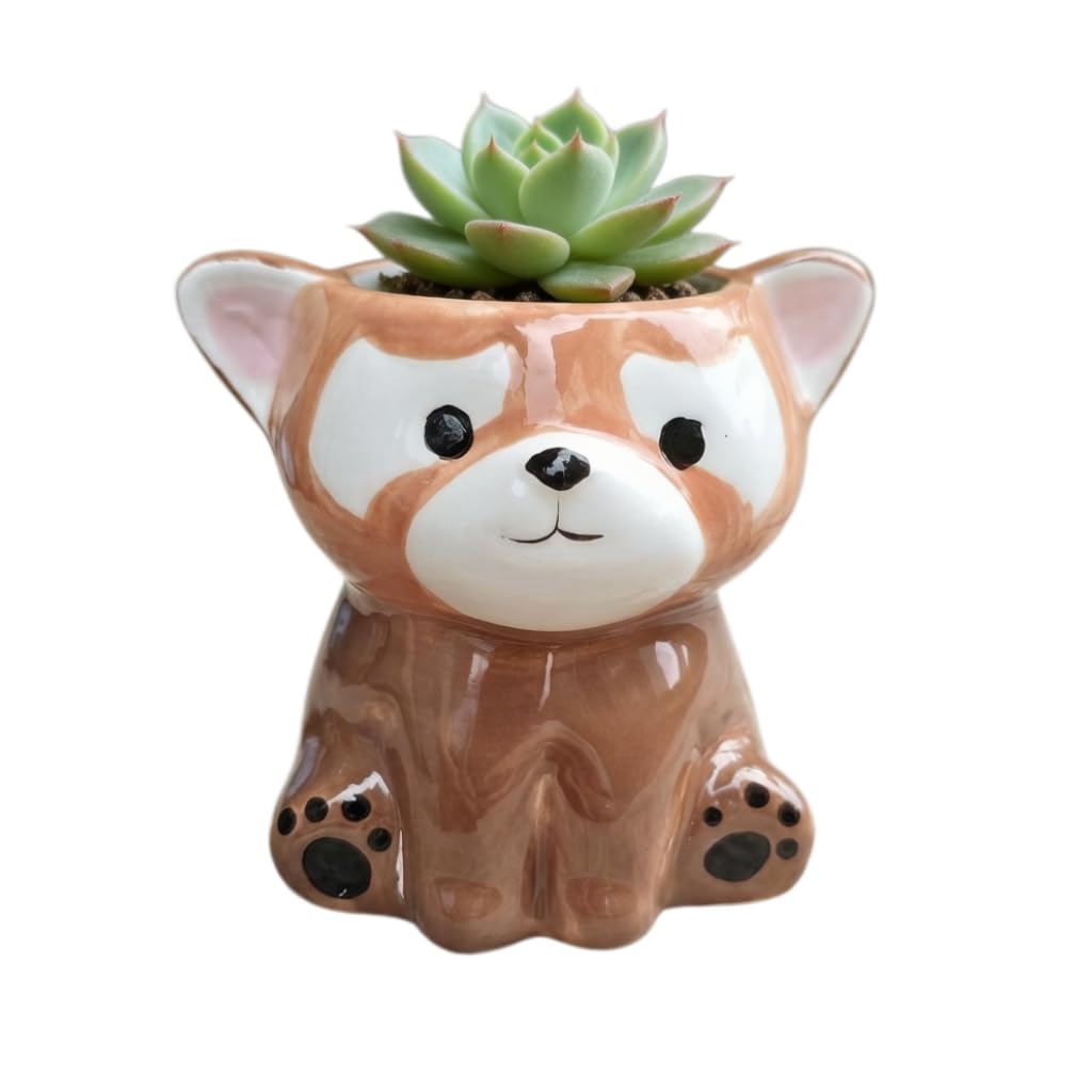Cute Cartoon Animal Shaped Succulent Cactus Plant Pots-Plants Not Included (About 2.8 Inches) (Randomly 12 PCS)