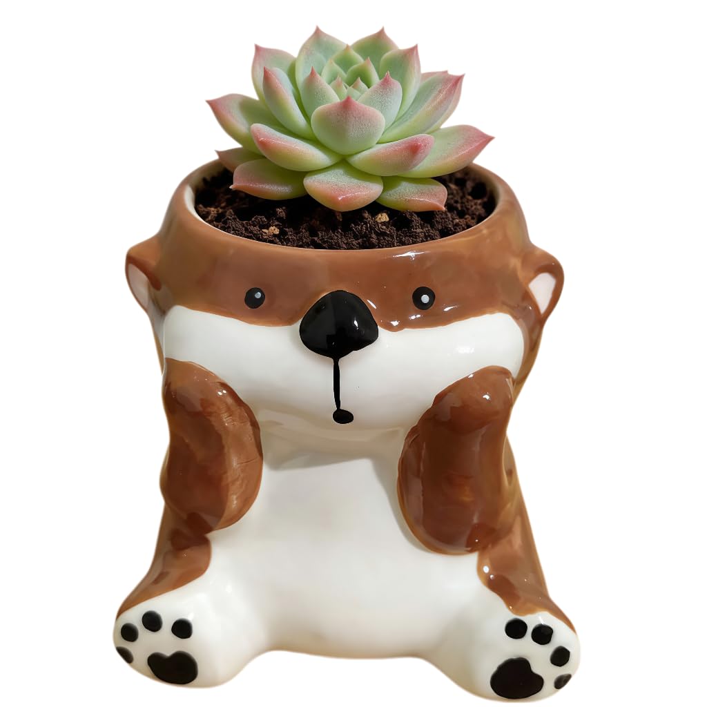 Cute Cartoon Animal Shaped Succulent Cactus Plant Pots-Plants Not Included (About 2.8 Inches) (Randomly 12 PCS)