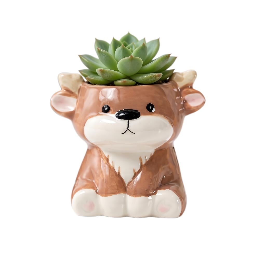 Cute Cartoon Animal Shaped Succulent Cactus Plant Pots-Plants Not Included (About 2.8 Inches) (Randomly 12 PCS)
