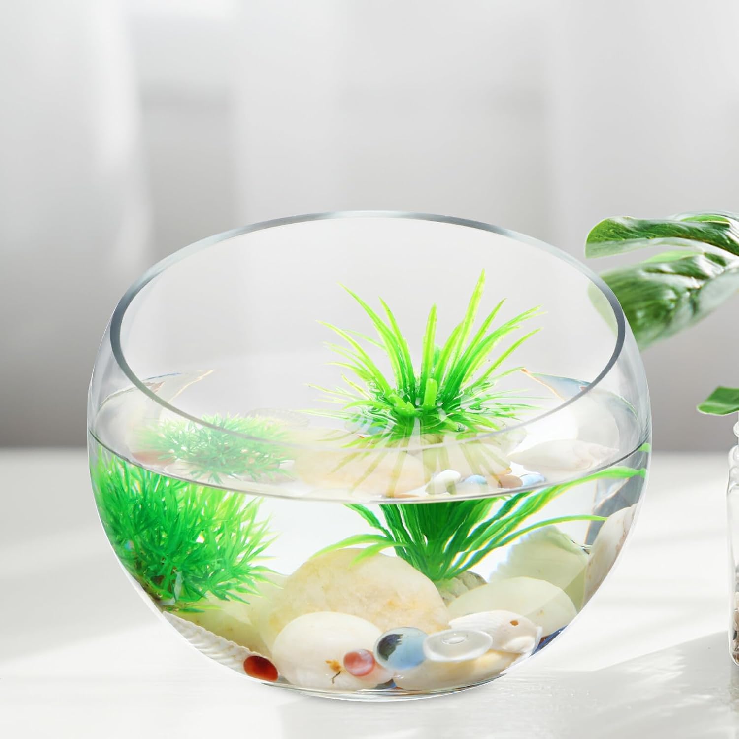 GANAZONO Succulent Planter Pot Set of 2 Half-Round Glass Hydroponic Flower Bowls for Indoor Plants and Home Decoration 5.90X4.33X2.36 Inches