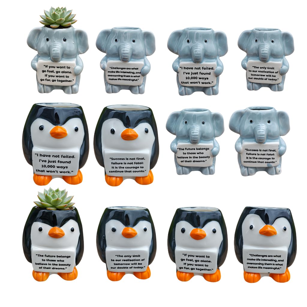 Cute Cartoon Animal Shaped Succulent Cactus Plant Pots-Plants Not Included (About 2.8 Inches) (Randomly 12 PCS)