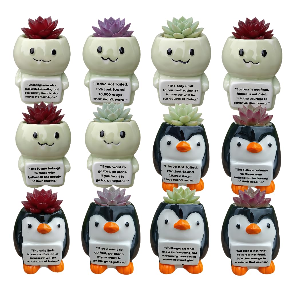 Cute Cartoon Animal Shaped Succulent Cactus Plant Pots-Plants Not Included (About 2.8 Inches) (Randomly 12 PCS)