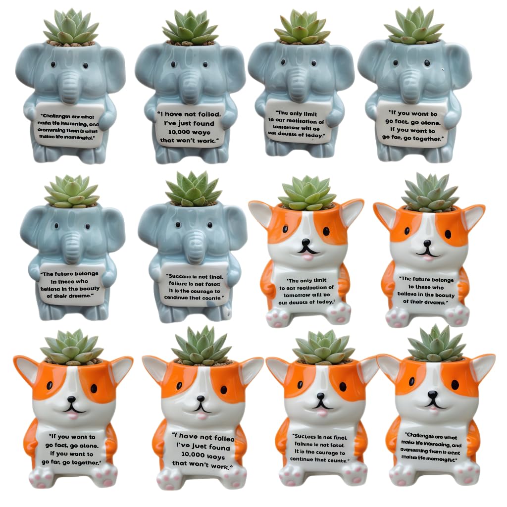 Cute Cartoon Animal Shaped Succulent Cactus Plant Pots-Plants Not Included (About 2.8 Inches) (Randomly 12 PCS)