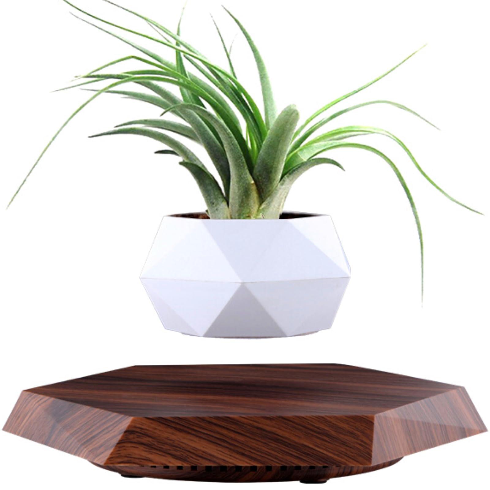 MOOCCI Levitating Plant Pot Floating Plant Potted Plant, Air Bonsai and Artificial Plants, Home Office Desk Decor, Gift for Easter, Mother's, Father's Day（Black