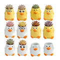 Cute Cartoon Animal Shaped Succulent Cactus Plant Pots-Plants Not Included (About 2.8 Inches) (Randomly 12 PCS)