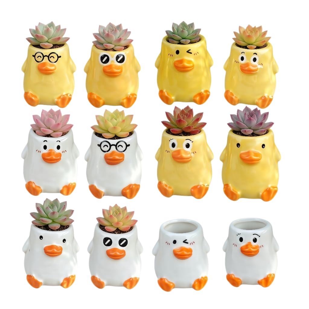 Cute Cartoon Animal Shaped Succulent Cactus Plant Pots-Plants Not Included (About 2.8 Inches) (Randomly 12 PCS)